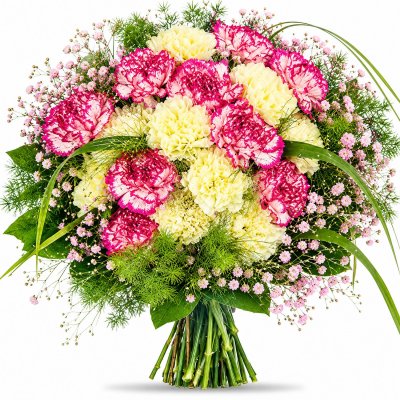 Carnations and Gypsophila